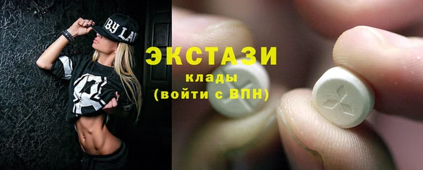 индика Бородино