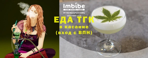 индика Бородино