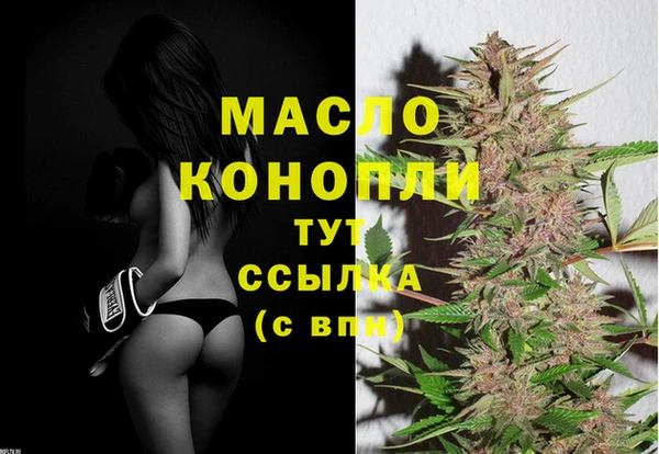 индика Бородино