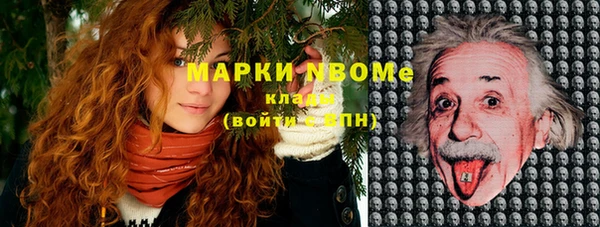 стаф Бронницы