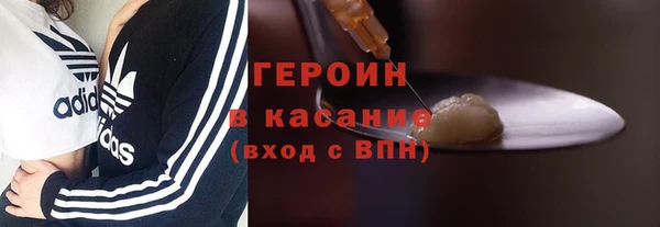 индика Бородино