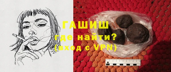 индика Бородино